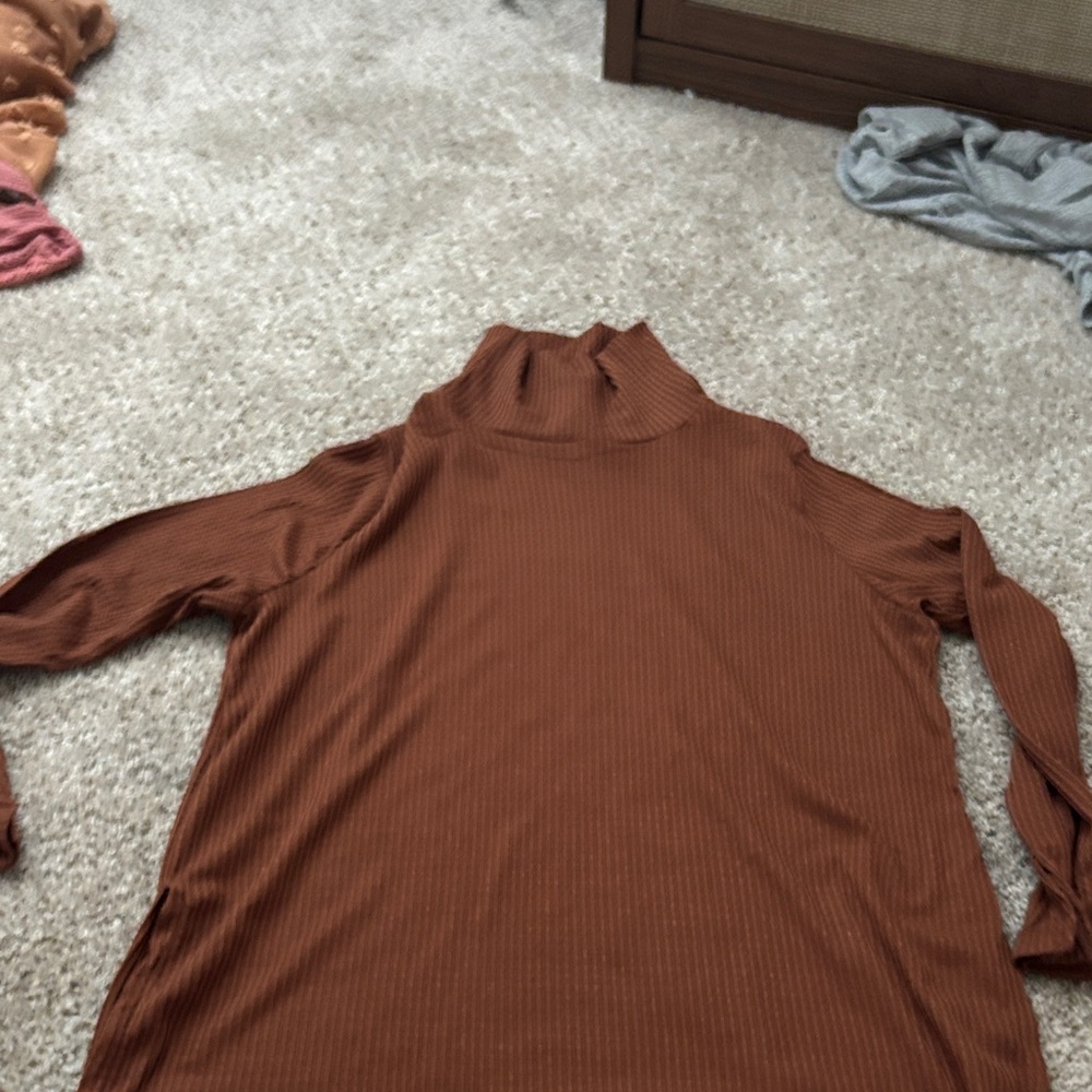 Rust Ribbed Turtleneck Sweater
